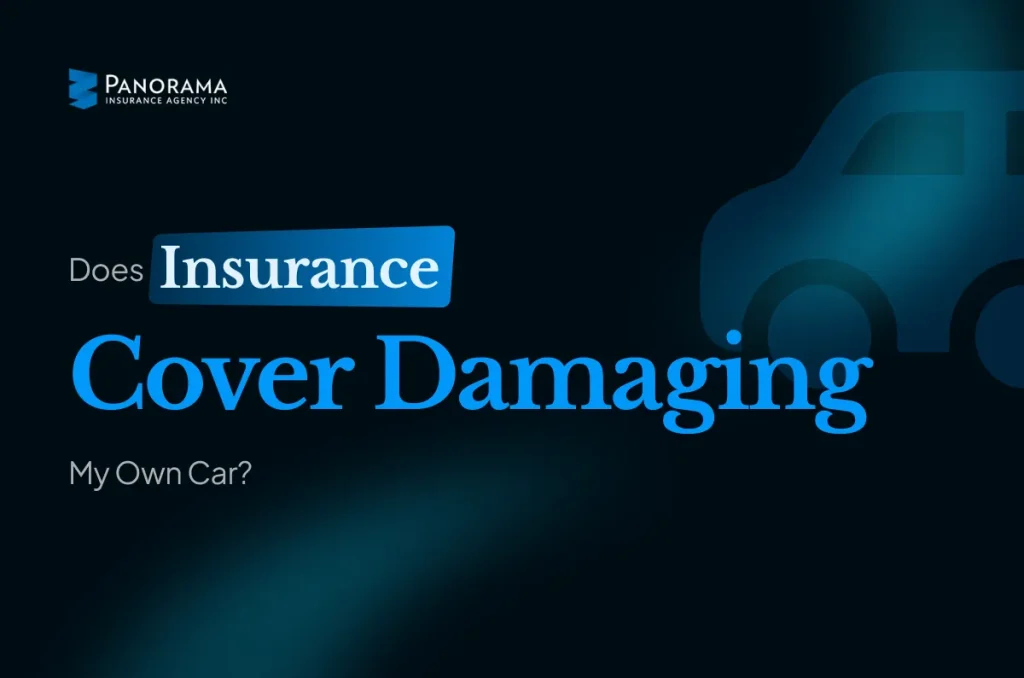 Panorama Insurance's banner with text "Does insurance cover damage to my own car?"