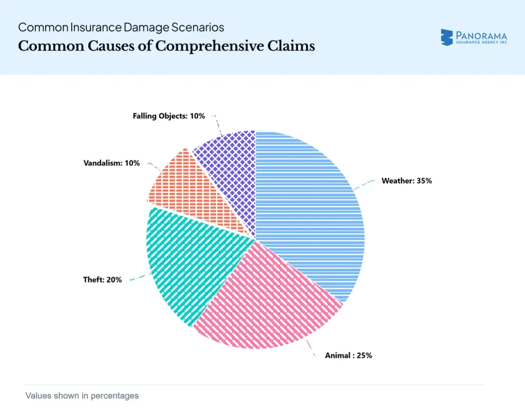 Pie chart of claim causes: weather 35%, animal 25%, theft 20%, vandalism 10%, falling objects 10%.