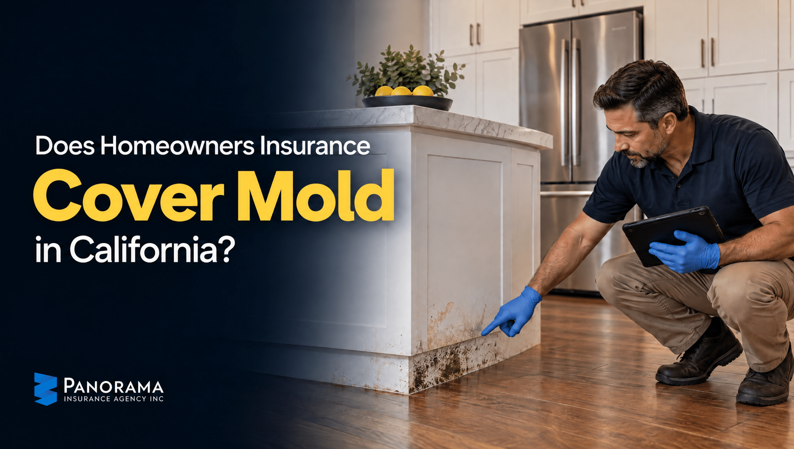 Inspector checking mold on a kitchen island for a California homeowners insurance mold coverage guide